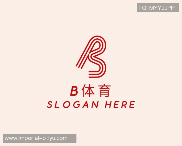 33街头篮球的魅力与挑战探索街头文化中的篮球精神与团队合作